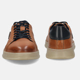 A cognac Men's bugatti Sneakers featuring a round plain toe, zero heels heel. Made from premium genuine leather with a durable tpr outsole, this laces design offers both style and comfort.