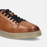 A cognac Men's bugatti Sneakers featuring a round plain toe, zero heels heel. Made from premium genuine leather with a durable tpr outsole, this laces design offers both style and comfort.