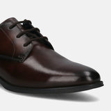 Zavinio Brown Leather Formal Derby Shoes