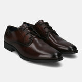 Zavinio Brown Leather Formal Derby Shoes