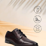 Bugatti Margo Bordo Premium Leather Comfort Derby Formal Shoes