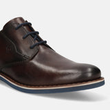 bugatti Dark Brown Premium Leather Derby shoes