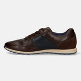 Thorello Dark Brown Sneakers